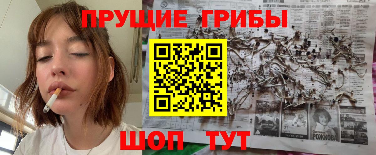 Галлюциногенные грибы Cubensis Избербаш