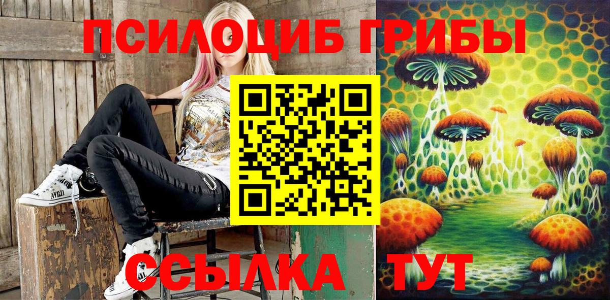 Псилоцибиновые грибы GOLDEN TEACHER  Вход с VPN  Избербаш 